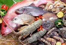 Mga isda na galing sa Western Pangasinan, ligtas- BFAR