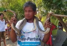 Publiko pinaalalahanan hinggil sa panghuhuli ng ahas matapos na masawi ang tinaguriang ‘Boy Ahas’ ng Pangasinan makaraan itong kagatin ng cobra