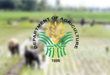 Grupo ng mga magsasaka kinuwestyun ang pangako ng DA na pagbibigay ng mga libreng pataba sa mga magsasaka