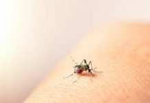 Kaso ng dengue sa Pangasinan tumaas ng 74 Percent – PHO