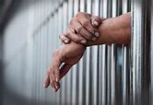 PNP inaalam kung may kasabwat o iba pang pulis na nagsasagawa ng pangongotong sa mga motoristang walang vaccination card