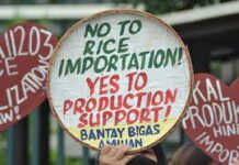 Grupong Bantay Bigas nanawagan sa gobyerno na ibasura na ang Rice liberalization Law