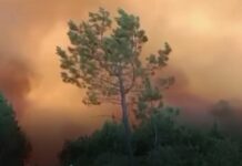 Madalas na ang pagkakatala ng mga forest fire sa bansang Spain, ikinababahala