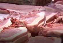 Pansamantalang ban sa pag-aangkat ng mga baboy na galing sa ibang probinsiya mahigpit na ipinatutupad sa Pangasinan