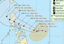 Office of the Civil Defense Region 1, naka-red alert status na bilang paghahanda sa pananalasa ni Bagyong Paeng