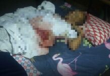 Kapulisan, patuloy sa hot pursuit operation laban sa suspek sa pamamaril sa 62 anyos na lalaki sa bayan ng Malasiqui