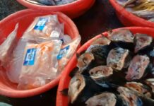 Mga lumalabag sa pagbabawal ng pagbebenta ng imported na mga isda, dapat na kasuhan — PAMALAKAYA Chairperson