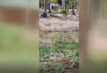 Pamilyang umano’y biktima ng land grabbing sa bayan ng Bolinao, dumulog sa Bombo Radyo para ipaabot ang kanilang panawagan sa kinauukulan