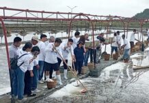Pamahalaang Panlalawigan, siniguro ang pagpapahusay ng produksyon ng asin sa lalawigan ng Pangasinan kasabay ng isinagawang Ceremonial Harvesting sa bayan ng Bolinao