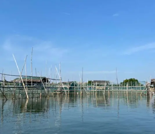 BFAR Region 1, pinaigting ang monitoring sa mga karagatan sa gitna ng banta ng El Niño at pabago-bagong panahon