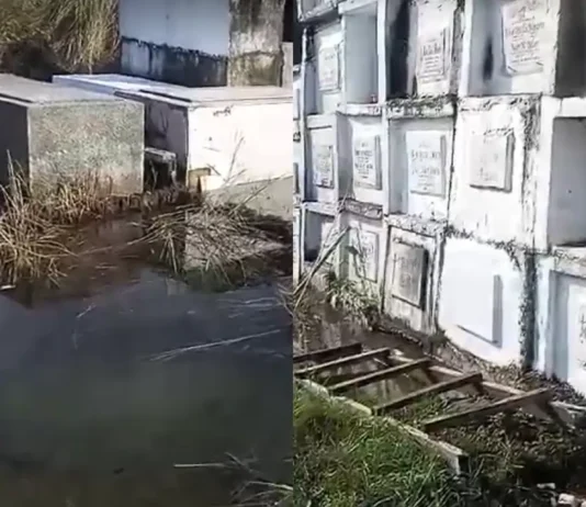 Mga dumadalaw, maagang naglilinis ng puntod sa Bonuan Boquig Public Cemetery