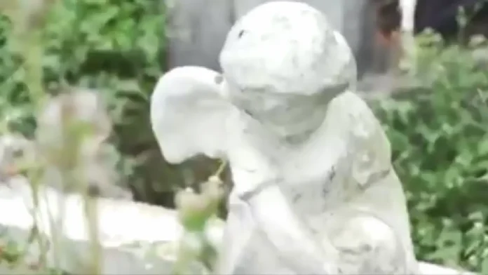 undas