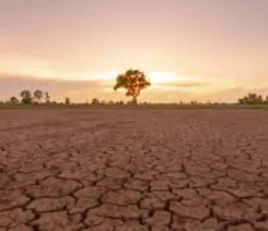 30,000 magsasaka at 15,000 mangingisda sa Pangasinan, posibleng maapektuhan ng El Niño