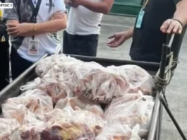 Mahigit 200 kilo ng mishandled at undocumented na karne ng manok, nakumpiska ng NMIS sa Laoac at Manaoag