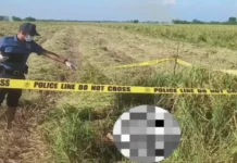 Naaagnas na bangkay, natagpuan sa gitna ng palayan sa Pangasinan; pamilya ng nawawalang biktima na nahulog sa Agana Bridge, sa Tarlac nagpunta sa pulisya upang kilalanin ang bangkay