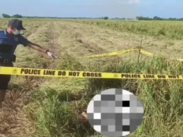 Naaagnas na bangkay, natagpuan sa gitna ng palayan sa Pangasinan; pamilya ng nawawalang biktima na nahulog sa Agana Bridge, sa Tarlac nagpunta sa pulisya upang kilalanin ang bangkay