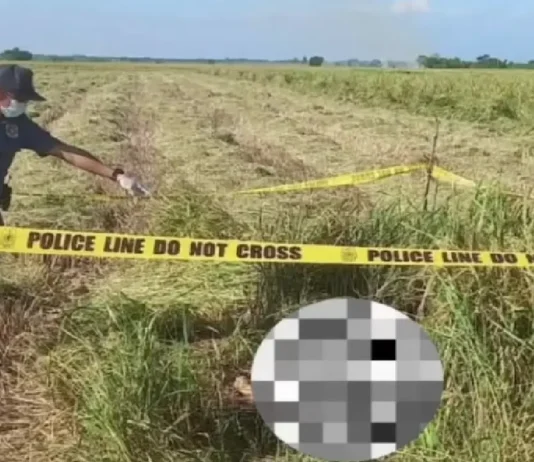 Naaagnas na bangkay, natagpuan sa gitna ng palayan sa Pangasinan; pamilya ng nawawalang biktima na nahulog sa Agana Bridge, sa Tarlac nagpunta sa pulisya upang kilalanin ang bangkay
