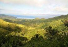 Mt. Hamiguitan Range subli nga ablihan sa mga trekkers