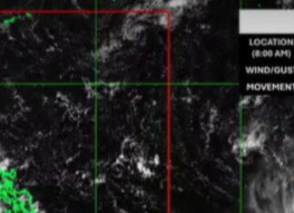 TROPICAL CYCLONE CHAMPI, PADAYON SA PAGKUSOG