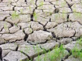 DSWD, NAG-ANDAM OG 21 MIL KA FAMILY WATER FILTRATION KIT ALANG SA MGA KOMUNIDAD NGA POSIBLENG MAWAD-AN OG LIMPYO NGA TUBIG