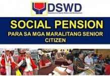 Social pension sa mga senior citizens sugdan na sa paghatag ugmang adlawa