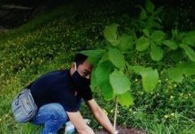 Mga gitanum nga cherry blossoms sa GenSan Airport gilantaw nga mahimong tourist spot