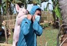 “Bantay Presyo” campaign sa karneng baboy og manok mas gipahugtan sa Dept. of Agriculture