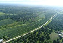 Farm-to-market roads nga makit-an sa Katangawan giablihan na