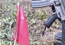 Sakop sa Brigol Command NPA midangop sa kapulisan aron mubalik sa sabakan sa gobyerno
