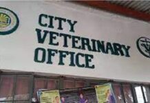 City Veterinary Office nagpahigayon ug Ring vaccination human nakatala ug walo ka kaso sa Rabies