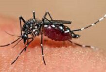 Kaso sa dengue sa dakbayan miubos tuiga