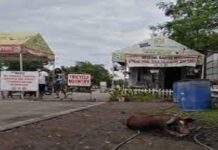 City Vetirenary nagdugang ug ASF checkpoint sa dakbayan aron mababagan ang pagsulod sa African Swine Fever