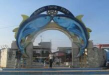 Department head sa City Engineer Office adunay pagpaklaro may kalabutan sa Phase 1 sa redevelopment project sa Queen Tuna Park nga adunay P21 million nga pondo