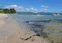 Fecal coliform sa Queen Tuna Park nagpabiling taas sumala sa CENRO GenSan