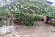 Kalit nga pagbundak sa makusog nga ulan nga miresulta sa pagbaha sa pipila ka mga barangay ning syudad daling girespondihan sa taga CDRRMO