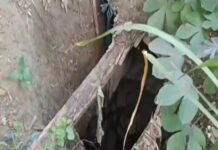 Buhatan sa City ENRO ug BJMP balikan ang lugar nga gikalutan sa Prk. 11, Lanton, Brgy. Apopong