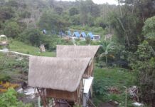 Mga nagpatukod ug gambalay sa tiilan sa Mt Matutum kasuhan sa PAMB