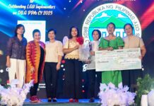 Sangunian Panglungsod gideklara nga outstanding Implementers sa DILG