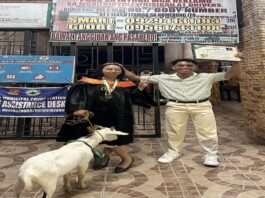Cum Laude nga dalaga giregalohan sa uyab ug kanding atol sa iyang graduation