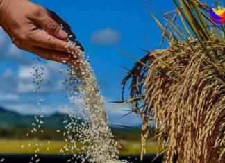 Presyo sa produktong agrikultural, posibleng mosaka