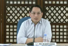 Mga Sayop sa Budget sa 2027 Mahimong Matul-id sa Bicam- Rep. Adiong