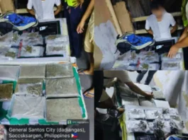 Kapin ₱1 milyong kantidad sa gituohang marijuana, nasakmit sa buy-bust operation sa GenSan; high-value individual, nadakpan