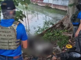 Dawlah Islamiya Sub-Leader, 3 kasamahan, nasawi sa operasyon sa Sultan Mastura, Maguindanao del Norte