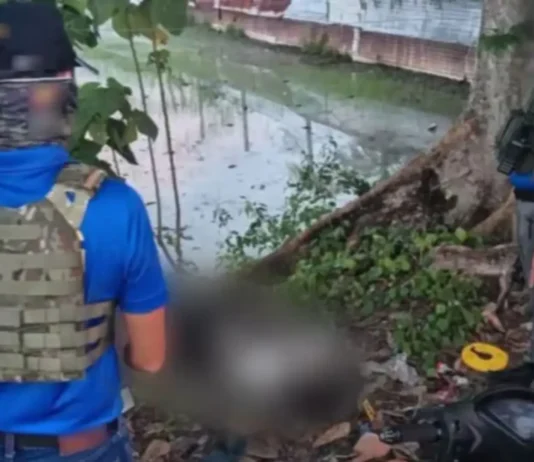 Dawlah Islamiya Sub-Leader, 3 kasamahan, nasawi sa operasyon sa Sultan Mastura, Maguindanao del Norte