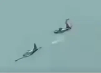DND, naglunsad og imbestigasyon sa pagkamatay sa upat ka piloto sa Lipa, Batangas
