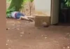 Lalaki sa Butuan City nga mitigbas-patay sa ka-ipon sa iyang stepson, gikasuhan na