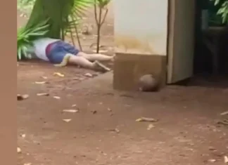 Lalaki sa Butuan City nga mitigbas-patay sa ka-ipon sa iyang stepson, gikasuhan na