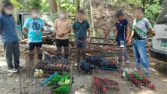 illegal-wildlife-trader