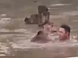 GENSAN, NAKASINATI OG PAGBAHA HUMAN SA KUSOG NGA PAG-ULAN; MGA LUMULUPYO, NANINGKAMOT PAGLUWAS SA BAKA NGA NAANOD