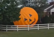 Higanteng ‘inflatable pumpkin’ sa North Carolina, miligid sa tunga sa dalan human mapalid sa hangin